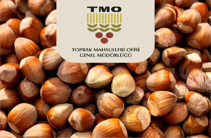 TMO'nun Belirlediği Fındık Alım Tarihleri