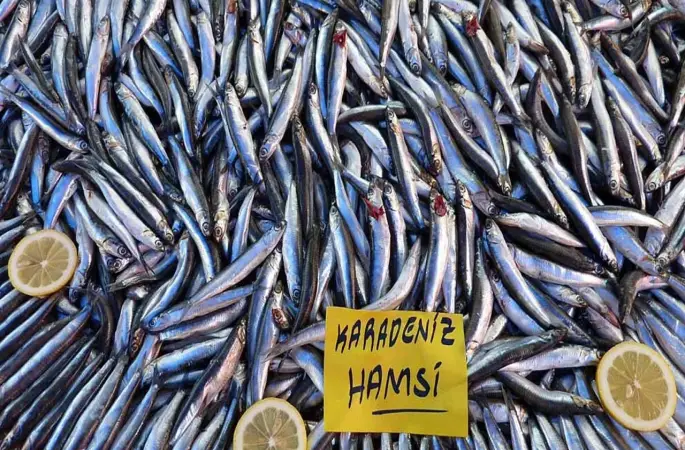 Tuzlu Suların Müthiş Lezzetleri