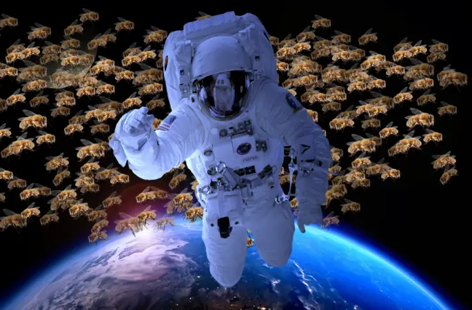 Uzaya Çıkan İlk Türk Arıcılık Deneyi Yapacak