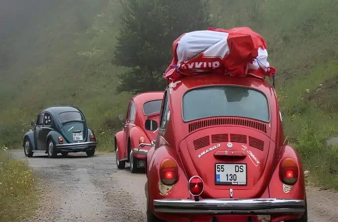 Vosvos Şenliği Renkli Görüntülerle Sona Erdi