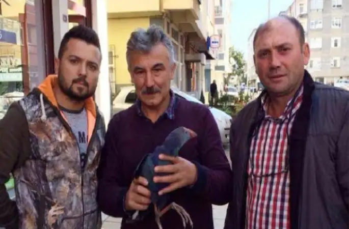 Yaralı Saz Horozu Tedavisinin Ardından Doğaya Bırakıldı