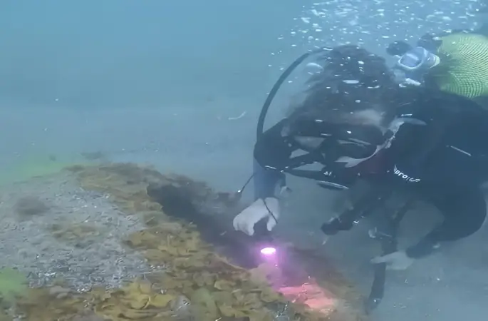 Yason Açıklarında Şüpheli Mayın Alarmı