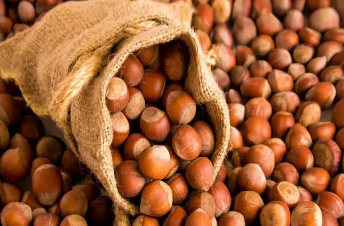 Yeni Fındık Kaç Liradan Satılıyor?