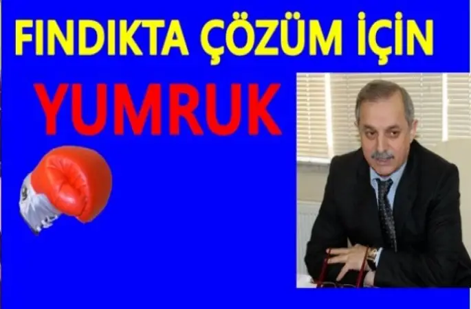 YUMRUĞU VUR FİYAT YÜKSELSİN