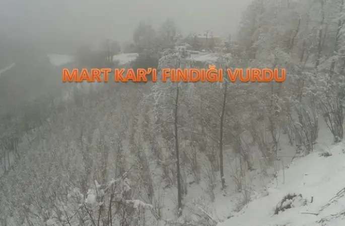 ZARARIN BOYUTU BİLİNMİYOR