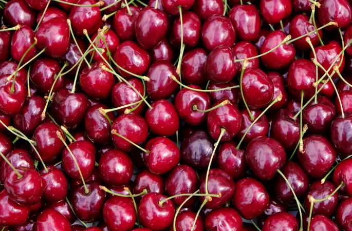 Zirai Don Her Yeri Vurdu