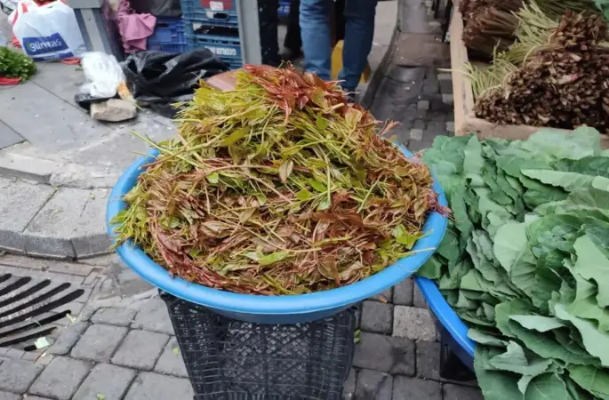Zirai Don Melocanı Vurdu, Fiyatlar El Yakıyor!